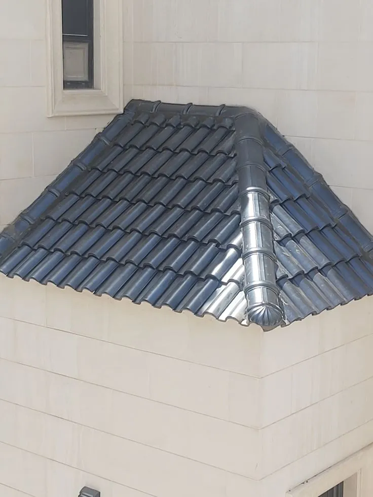 صورة المقال