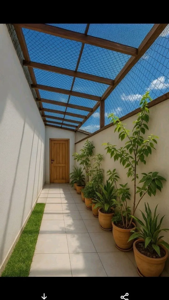 صورة المقال